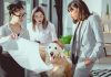 Empathy and Discipline Are Building a New Pet Insurance Category