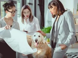 Empathy and Discipline Are Building a New Pet Insurance Category