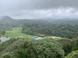 Majestic view of the green hills of Coorg