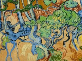 Accidental Entrepreneurship: When Van Gogh shows up in your Backyard